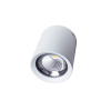 FL-LED CUPSPOT Round 30W White 4000K 3000Lm круглый 30Вт 170*185мм - 