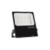 FLOODLIGHT PERFORMANCE ASYM 55x110 100 W 4000 K BK - прожектор LEDV - 