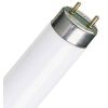 Лампа люминесцентная 15W/640  G13 d26x438mm 850lm 4000K ФС (Смоленск-Формула Света) - 