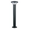 Endura Hybrid Olona 50cm 2W Dark Gray - 