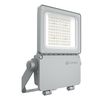FL FLEX P 40W ML 830 A45X140 WAL - 
