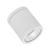 DL SURFACE IP65 DN 90 P 15W 830 36D WT - 