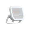 FL 20 P 17W 2K4LM 865 PS SY100 WT - 