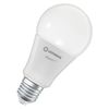 SMART+ MATTER Multicolor Classic A100 14W E27 - 
