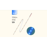 Лента светодиодная цветная FL-Strip 2835-S60-B 12.0W/m BLUE DC-12V IP20 10*5000mm - 