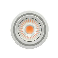 PL-CN111-COB- 4300-840-60D-G2 - 