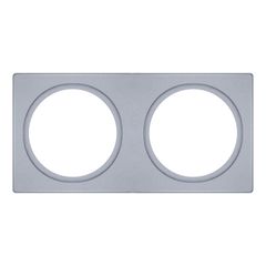 SPOT FRAME 100X200 2X D68 SI - 