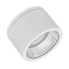 DL SURFACE IP65 DN 160 P 30W 830 60D WT - 