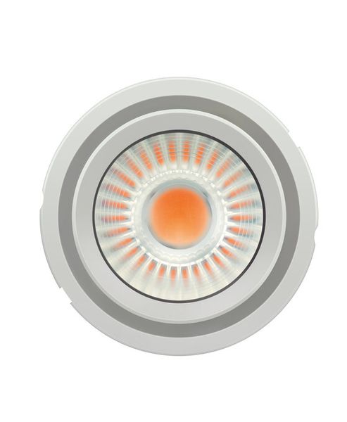 PL-CN111-COB- 4300-830-60D-G2 - 