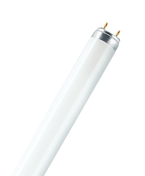 L 36 W/840 - 