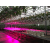 10W (=18W) 0.6m РАССАДА 220V G13 FL-LED  T8  (220V - 240V, 10W,  600mm) - LED лампа трубка - , изображение 3