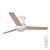 Ceiling fan Nordes 1065mm 38W CCT RGB - 