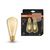 Vintage 1906 Edison 55 Filament DIM 6.5W 824 Gold E27 - , изображение 11