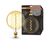 Vintage 1906 Globe 200 33 Filament DIM 4.8W 822 Gold E27 - , изображение 5