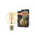Vintage 1906 Globe 80 37 Filament DIM 4.8W 822 Gold E27 - , изображение 5