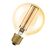 Vintage 1906 Globe 80 40 Filament DIM 5.8W 822 Gold E27 - 
