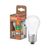 LED Classic P 25 Filament Energy efficiency class A 1.2W 840 Frosted E27 - , изображение 8