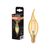 Vintage 1906 Classic BA 22 Filament 2.5W 824 Gold E14 - , изображение 9