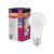 LED Value Classic A 100 13W 865 Frosted E27 - , изображение 8