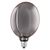 Vintage 1906 Globe 183 Filament O Lamp DIM 4W 818 Smoke E27 - , изображение 3