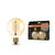 Vintage 1906 Globe 80 37 Filament DIM 4.8W 822 Gold E27 - , изображение 6