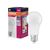 LED Value Classic A 100 13W 840 Frosted E27 - , изображение 9
