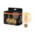 Vintage 1906 Globe 95 55 Filament DIM 6.5W 824 Gold E27 - , изображение 13