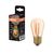 Vintage 1906 Mini Edison ST 45 33 Filament DIM 4.8W 822 Gold E27 - , изображение 16