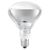 Infrared BR40 250W 240V E27 CLEAR - , изображение 3