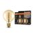 Vintage 1906 Globe 95 55 Filament DIM 6.5W 824 Gold E27 - , изображение 10
