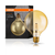 Vintage 1906 Globe 22 Filament 2.5W 824 Gold E27 - , изображение 9