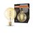 Vintage 1906 Globe 28 Filament DIM 4W 820 Gold E27 - , изображение 12
