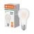 LED Classic A 150 Filament V 17W 827 Frosted E27 - , изображение 3