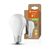 LED Classic A 100 Filament Energy efficiency class A S 7.2W 830 Frosted E27 - , изображение 5