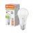 LED CLASSIC A75 DIM CCT SELECT P 10.5W 827/830/840/865 FROSTED E27 - , изображение 5
