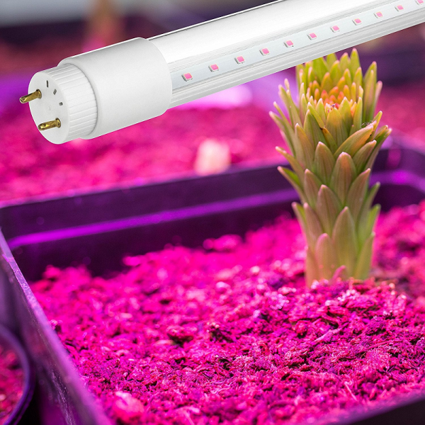10W (=18W) 0.6m РАССАДА 220V G13 FL-LED  T8  (220V - 240V, 10W,  600mm) - LED лампа трубка - , изображение 2