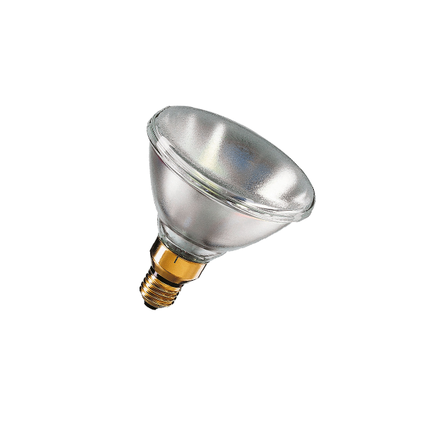 PHILIPS PAR38 120W E27 24V SP 10D 1CT/12 - лампа - 