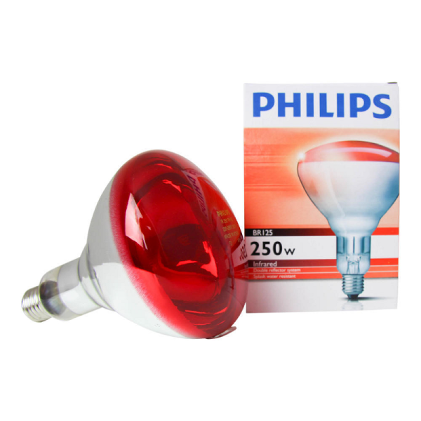 PHILIPS  R125  IR250RH  E27 230-250V d125x173 красная - инфракрасная лампа - , изображение 3