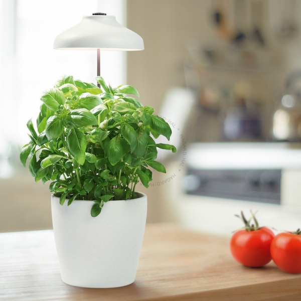 INDOOR GARDEN UMBRELLA 200 USB WT - свет-к на колышке для горшка LEDV - , изображение 4