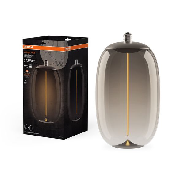 Vintage 1906 Big Elipse Oval 12 Filament Magnetic 4W 818 Smoke E27 - , изображение 5