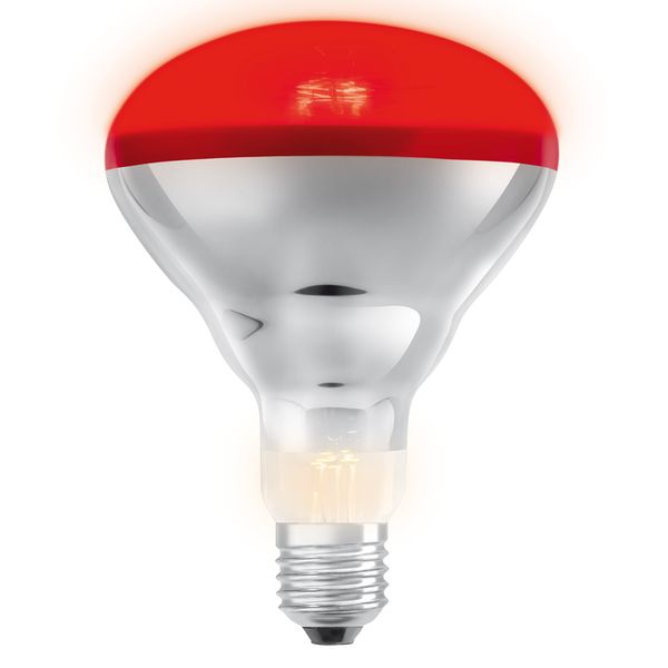 Infrared BR40 250W 240V E27 RED - , изображение 6