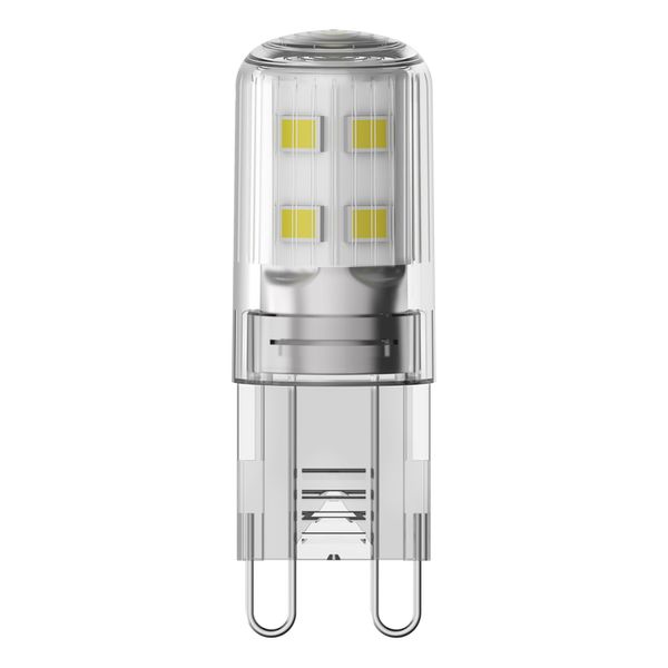 LED Base PIN 20 300° 1.9W 827 Clear G9 - , изображение 6