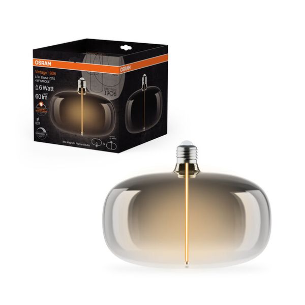 Vintage 1906 Big Elipse 6 Magnetic DIM 4W 818 Smoke E27 - , изображение 5