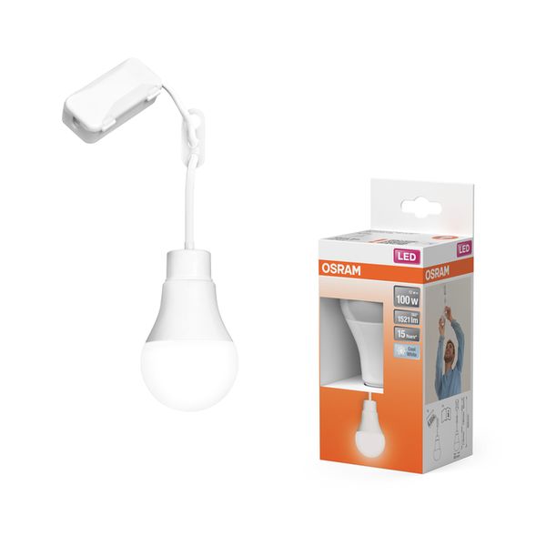 Renovation Lamp Classic A100 Terminal Block 13W 840 Single Pack - , изображение 8