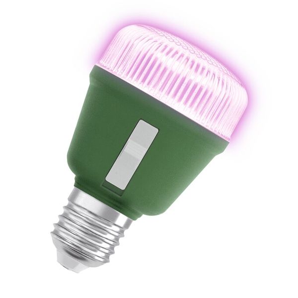 LED Star Grow Lamp T 60 10W Clear E27 - , изображение 26