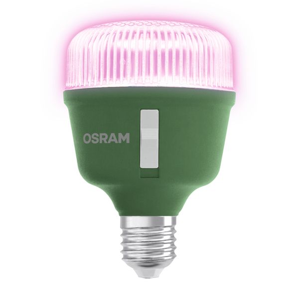 LED Star Grow Lamp T 80 20W Clear E27 - , изображение 14