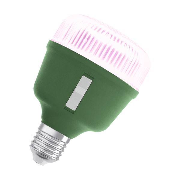 LED Star Grow Lamp T 80 20W Clear E27 - , изображение 24