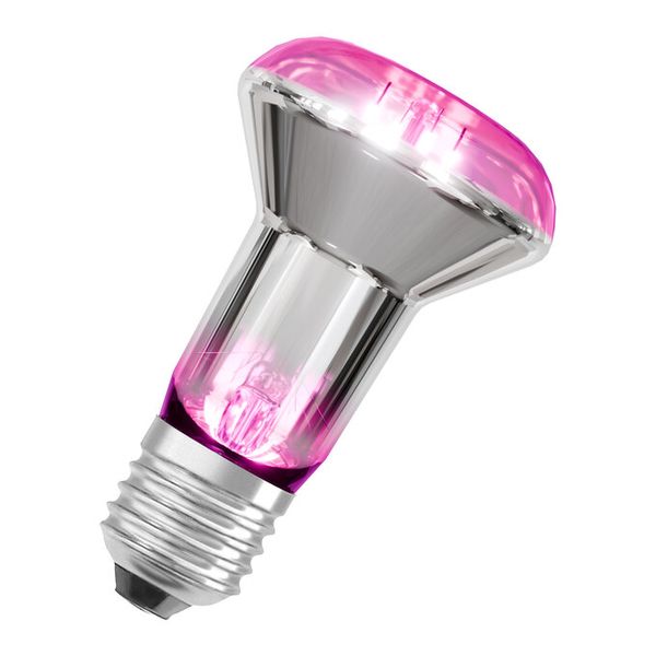 LED Star Grow Lamp Filament 100° 7.5W E27 - , изображение 5