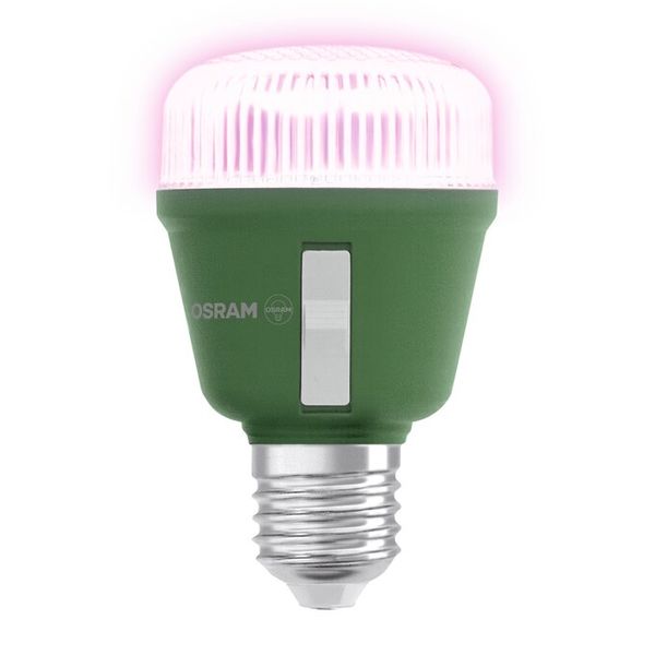 LED Star Grow Lamp T 60 10W Clear E27 - , изображение 13