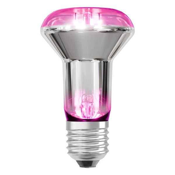 LED Star Grow Lamp Filament 100° 7.5W E27 - , изображение 7